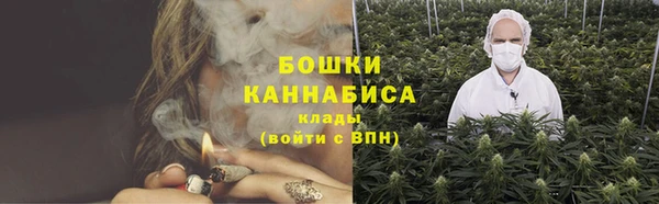 мдма Новодвинск