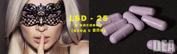 эйфоретик Новозыбков