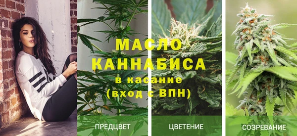 эйфоретик Новозыбков