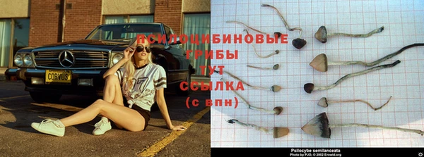 эйфоретик Новозыбков