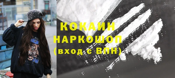 винт Няндома