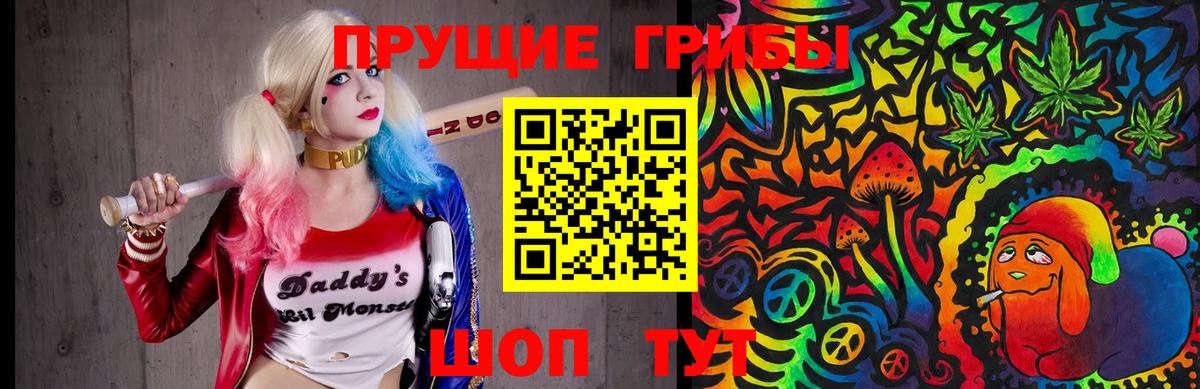 Среднеуральск  Псилоцибиновые грибы прущие грибы  Вход с VPN 